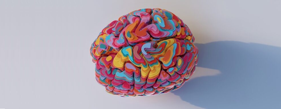 Une illlustration d'un cerveau coloré